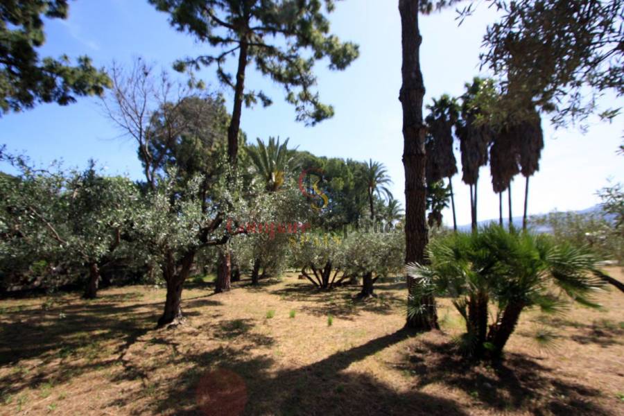 Sale - Villa - Orba Valley - Casco urbano