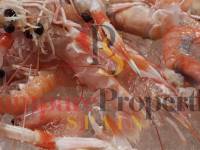 Vente - Villa - Dénia - TorreCarrals