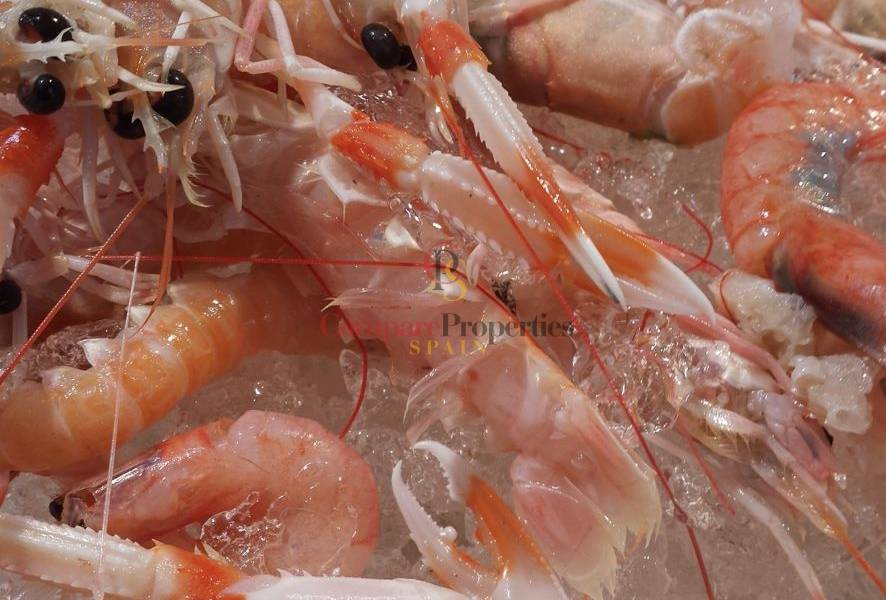 Vente - Villa - Dénia - TorreCarrals