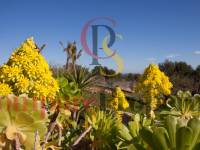 Verkoop - Apartment - Benissa - Costa blanca