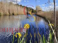 Verkauf - Townhouses - Dénia
