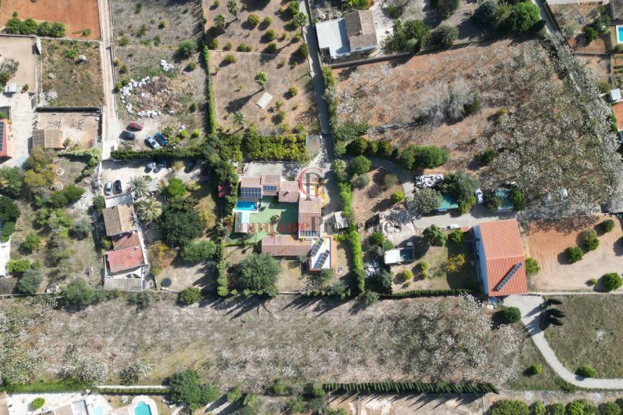 Venta - Villa - Pedreguer