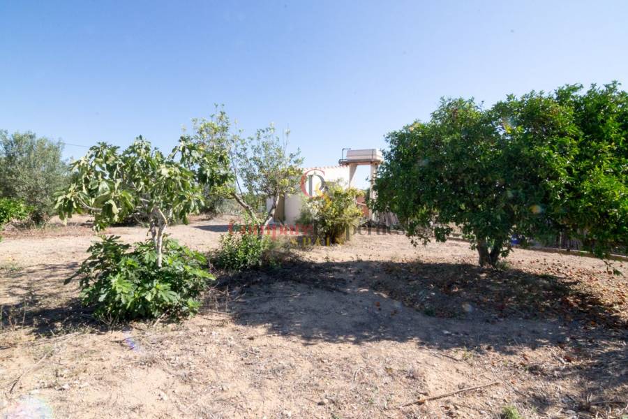 Vente - Villa - Pedreguer - Periferia