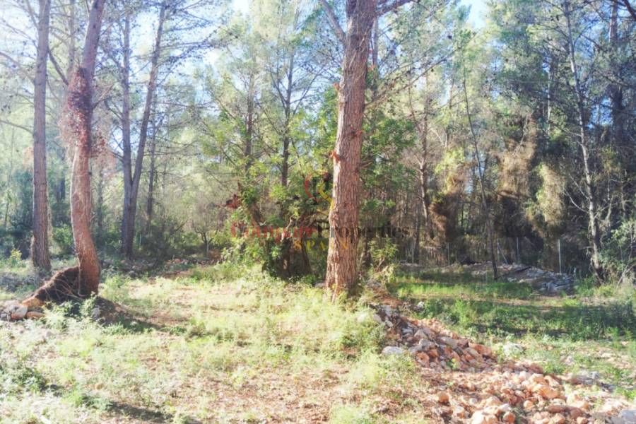 Verkauf - Townhouses - Jalon Valley - Parcent