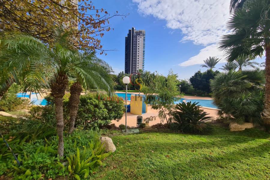 Verkauf - Apartment - Benidorm - Levante