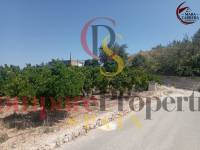 Sale - Apartment - La Font d'en Carròs - La Font d'en Carrós