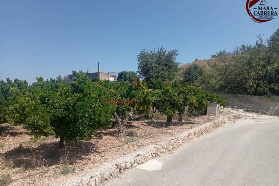 Sale - Apartment - La Font d'en Carròs - La Font d'en Carrós