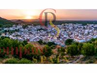 Sale - Villa - Oliva - 