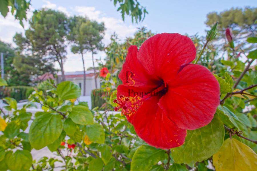 Venta - Villa - Dénia