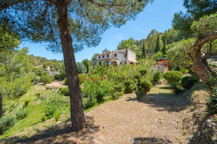 Vente - Villa - Jalon Valley - Campo