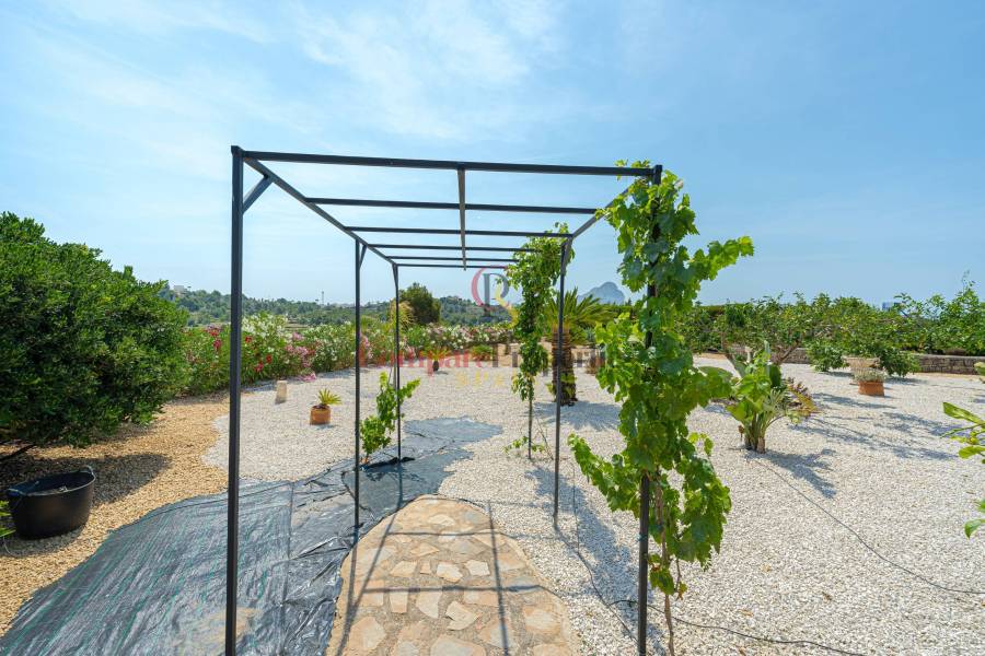 Verkoop - Villa - Calpe - 