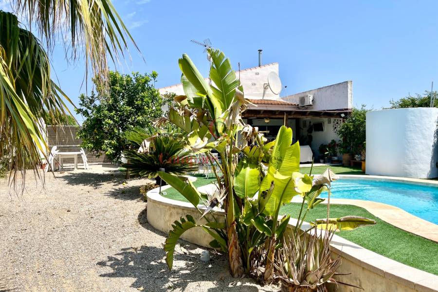 Verkauf - Villa - Daya Nueva