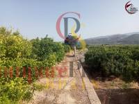 Sale - Apartment - Gandía - 