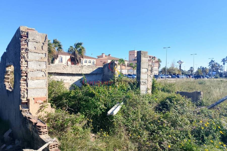 Sale - Apartment - Oliva - 