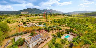 Villa - Sale - Jalon Valley - Comunidad valenciana