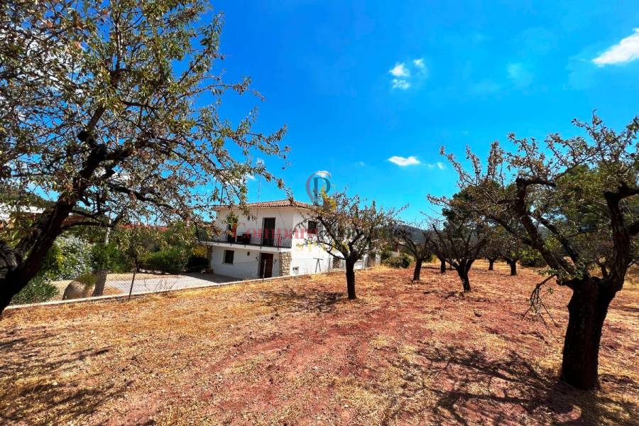 Vente - Villa - Jalon Valley - Pueblo