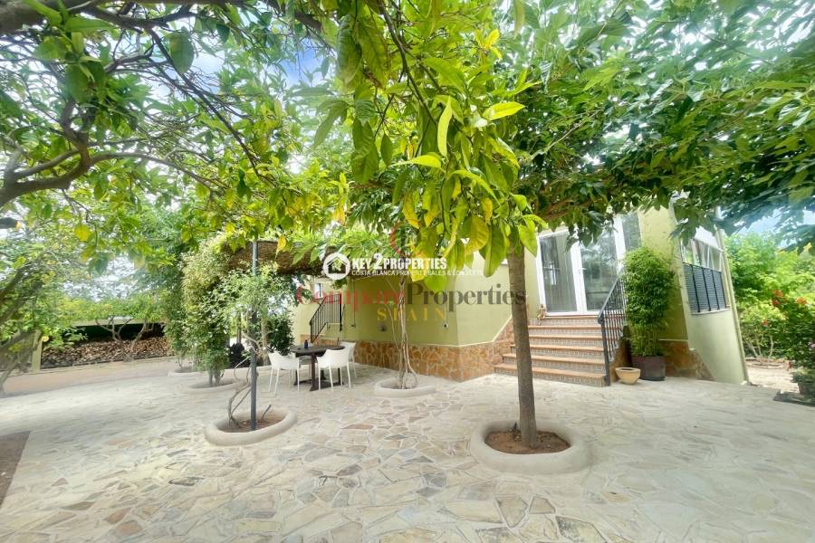 Venta - Villa - Pedreguer