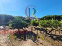 Sale - Villa - Pedreguer - 