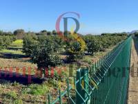 Vente - Villa - Orba Valley - Alicante, Orba Valley