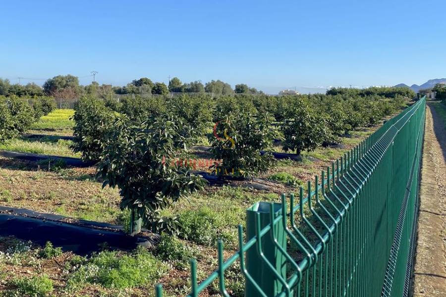 Vente - Villa - Orba Valley - Alicante, Orba Valley