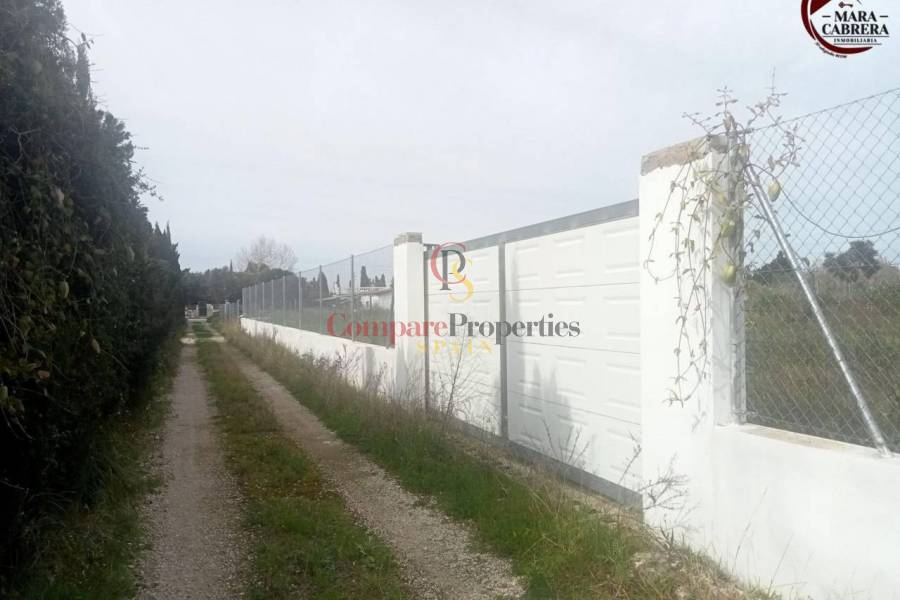 Sale - Apartment - Oliva - 