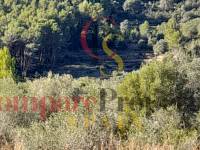 Verkauf - Plot - Orba Valley - 