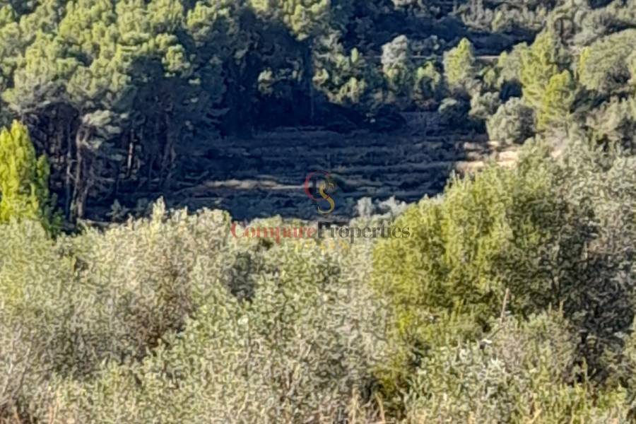 Verkauf - Plot - Orba Valley - 