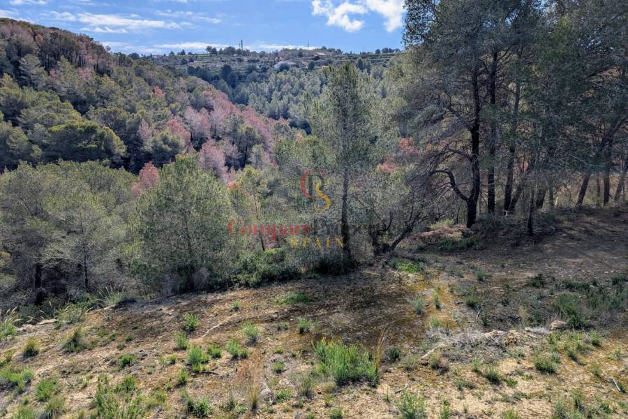 Venta - Plot - Benissa - Partida Biasner