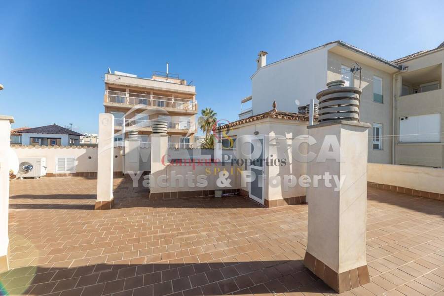 Vente - Apartment - Palma de Mallorca - Ciudad Jardin
