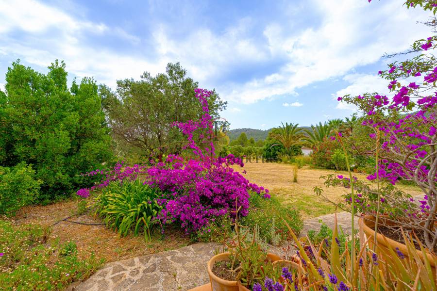 Sale - Villa - Jalon Valley - Campo