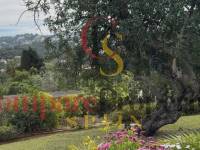 Vente - Villa - Jávea