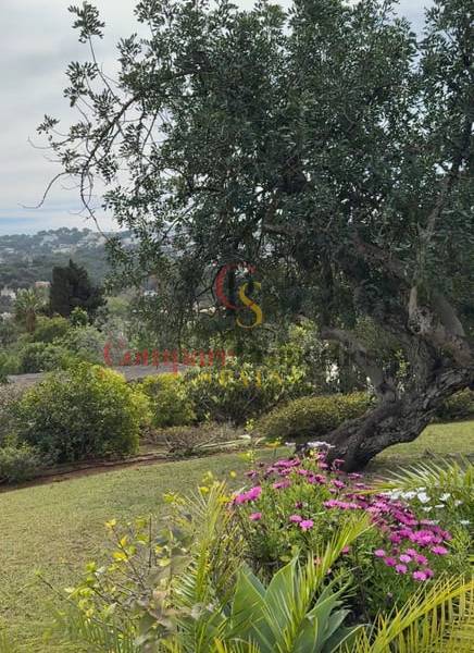 Vente - Villa - Jávea