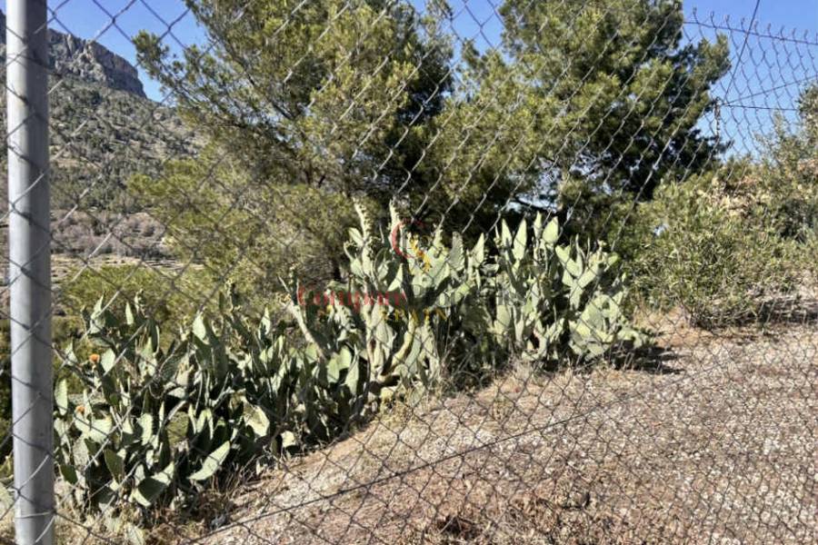 Verkauf - Plot - Calpe - 