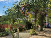 Venta - Villa - Oliva