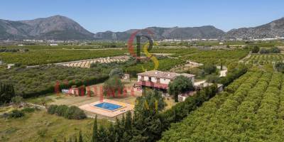 Villa - Sale - Orba Valley - 