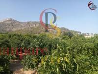 Sale - Apartment - Gandía - 