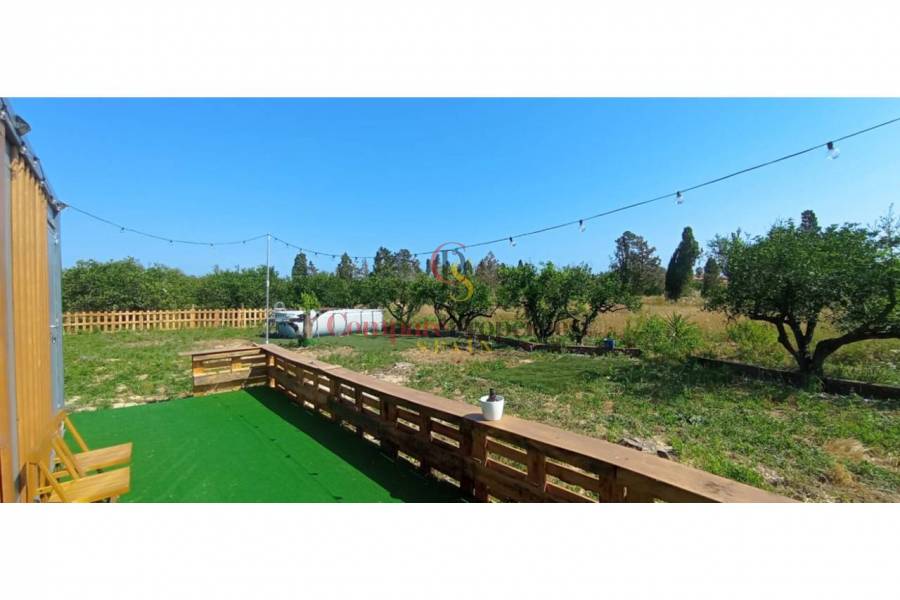 Sale - Apartment - Oliva - 