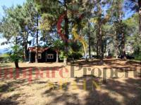 Sale - Villa - Orba Valley - Casco urbano
