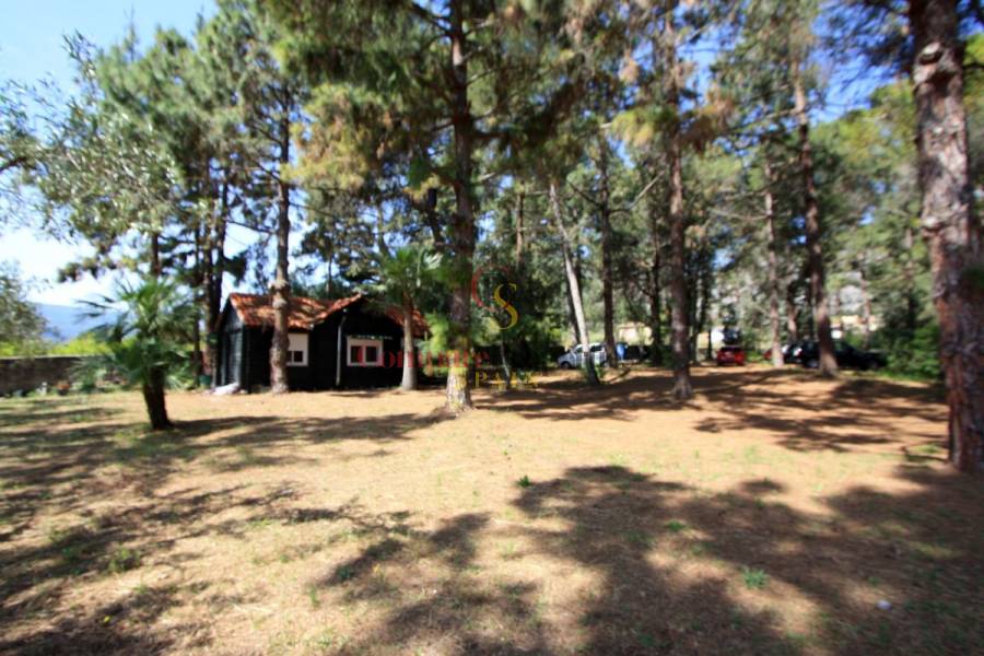 Sale - Villa - Orba Valley - Casco urbano