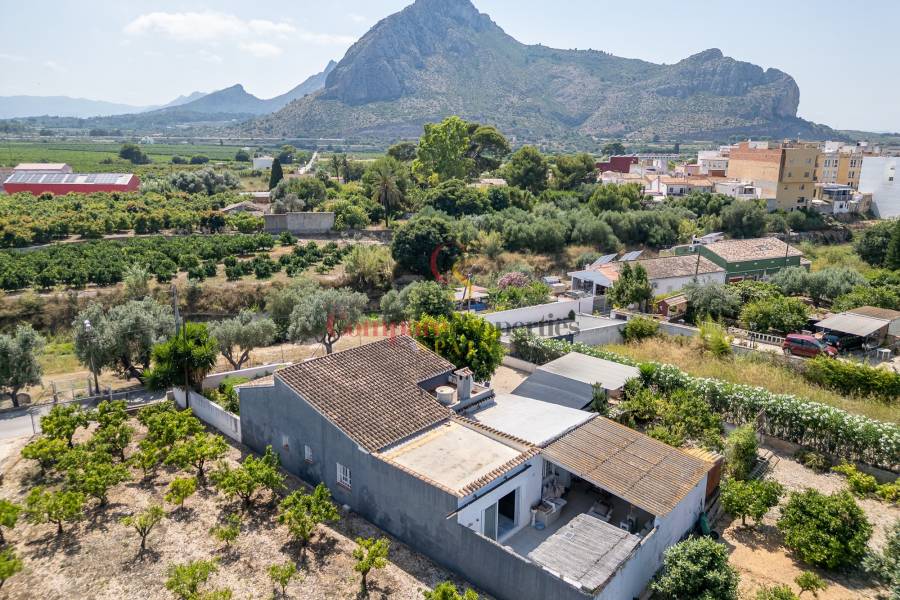 Verkauf - Villa - El Vergel - 