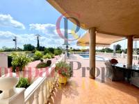 Vente - Villa - Catral