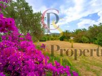 Sale - Villa - Jalon Valley - Campo