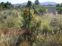 Verkauf - Plot - Orba Valley - 