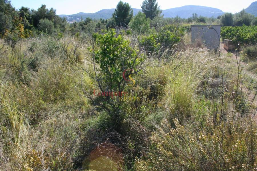 Verkauf - Plot - Orba Valley - 