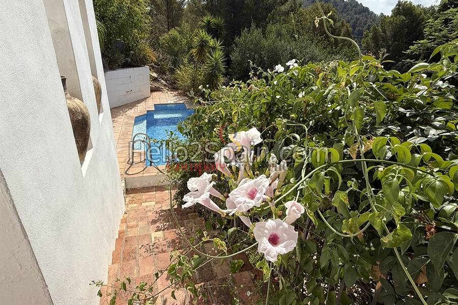 Venta - Villa - Oliva