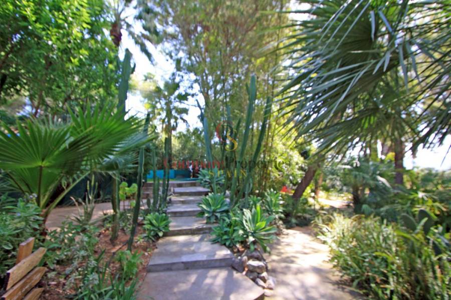 Sale - Villa - Orba Valley - Casco urbano