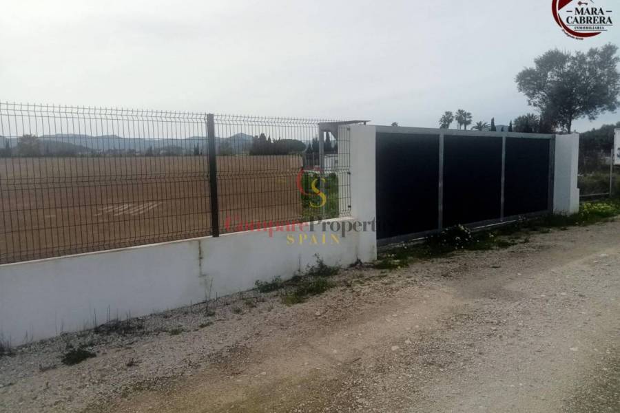 Sale - Apartment - Oliva - 