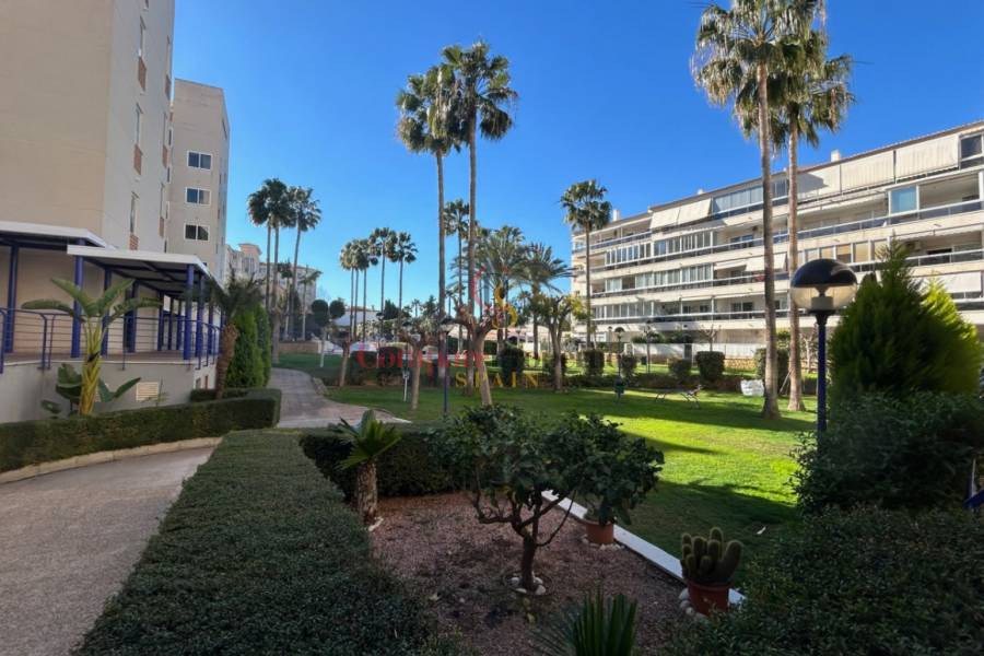 Verkoop - Apartment - Albir - Centro