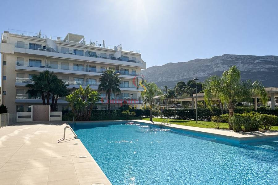 Sale - Duplex and Penthouses - Dénia