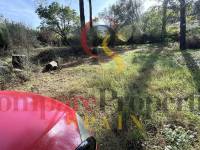 Sale - Villa - Villalonga